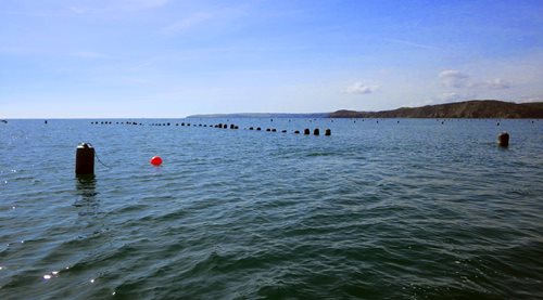 Re-deployed buoy and shellfish farm 