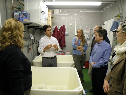 ShellEye team on tour of Cefas' aquaculture facilities