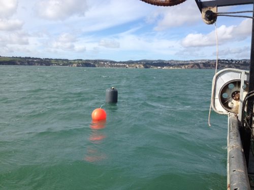 Buoys deployed for sampling water quality